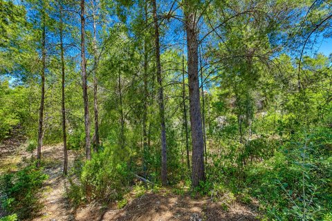 Land plot for sale in Santa Ponsa, Mallorca, Spain 400 sq.m. No. 180976 - photo 4