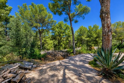 Land plot for sale in Santa Ponsa, Mallorca, Spain 400 sq.m. No. 180976 - photo 5