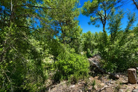 Land plot for sale in Santa Ponsa, Mallorca, Spain 400 sq.m. No. 180976 - photo 3