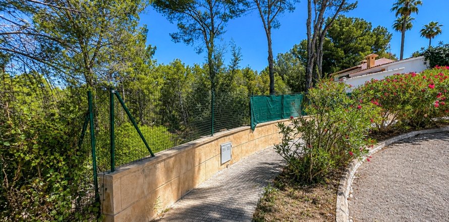 Land plot in Santa Ponsa, Mallorca, Spain 400 sq.m. No. 180976