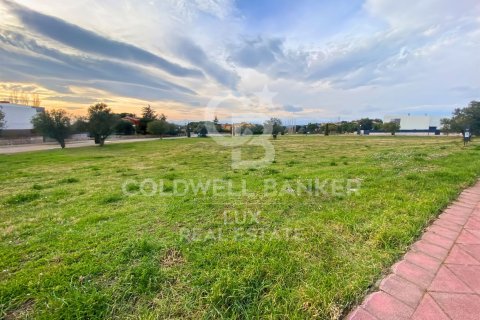 Land zum Verkauf in Peralada, Girona, Spanien 5728 m2 Nr. 159537 - Foto 10