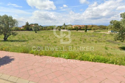 Land zum Verkauf in Peralada, Girona, Spanien 5728 m2 Nr. 159537 - Foto 8