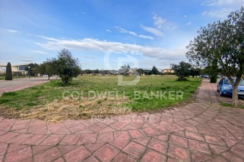 Tontti myytävänä Peralada, Girona, Espanja , 5728 m2 No. 159537 - kuva 12