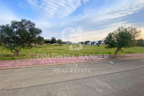 Land zum Verkauf in Peralada, Girona, Spanien 5728 m2 Nr. 159537 - Foto 12