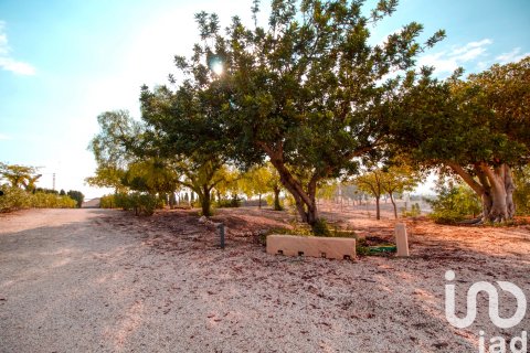 Продажа дома в Альбатера, Аликанте, Испания 5 спален, 420м2 №152952 - фото 25