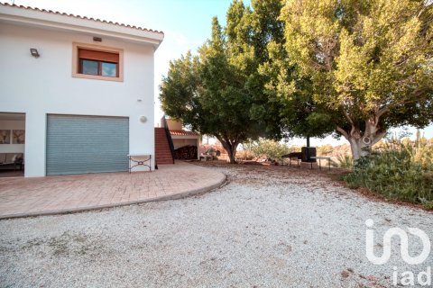 Продажа дома в Альбатера, Аликанте, Испания 5 спален, 420м2 №152952 - фото 27