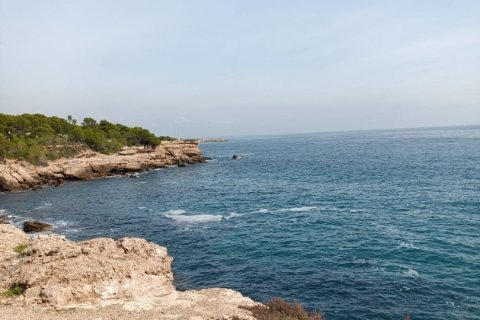 Apartamento en L'Ametlla de Mar, Tarragona, España 2 dormitorios, 64 m2 No. 152951