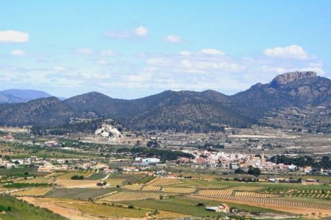 Villa en venta La Romana, Alicante, España 3 dormitorios, 130 m2 No. 135050 - foto 19