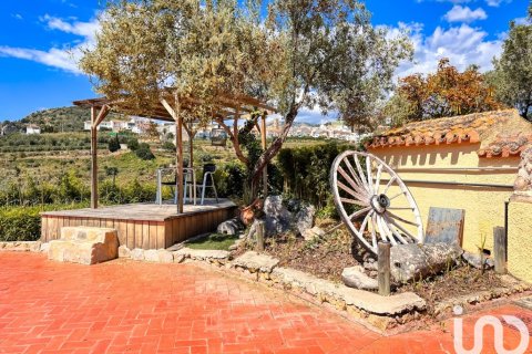 Lokal usługowy w Tarbena, Alicante, Hiszpania 559 mkw. nr 173345 – zdjęcie 24
