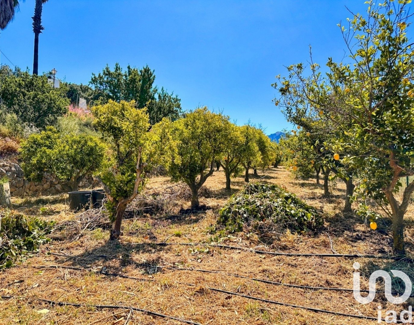 Komerciāls īpašums Tarbena, Alicante, Spānijā 559 m2 Nr. 173345