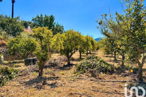 Lokal usługowy w Tarbena, Alicante, Hiszpania 559 mkw. nr 173345 – zdjęcie 27