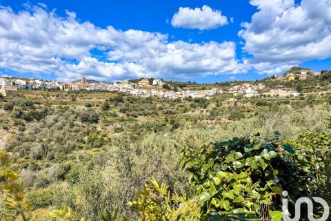 Lokal usługowy w Tarbena, Alicante, Hiszpania 559 mkw. nr 173345 – zdjęcie 6