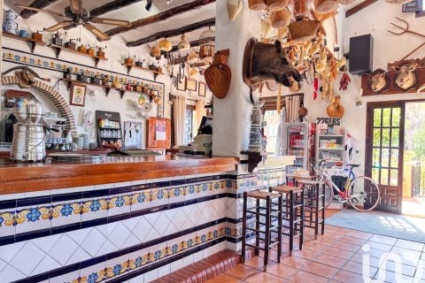 Lokal usługowy w Tarbena, Alicante, Hiszpania 559 mkw. nr 173345 – zdjęcie 15