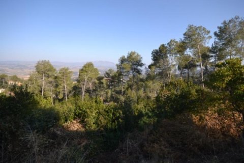 Appartamento in vendita a Gelida, Barcelona, Spagna 4 camere da letto, 450 mq. N° 167166 - foto 3