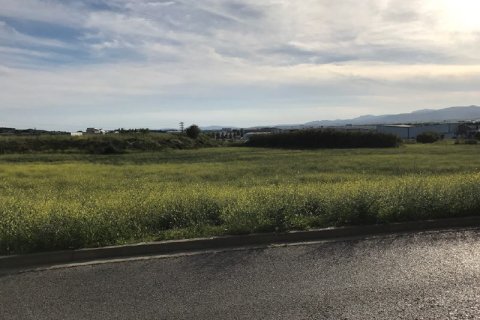 Land plot for sale in Vilafranca Del Penedes, Barcelona, Spain No. 167164 - photo 3