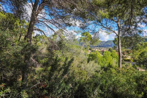 Parcela en venta en Mallorca, España No. 147913 - foto 4