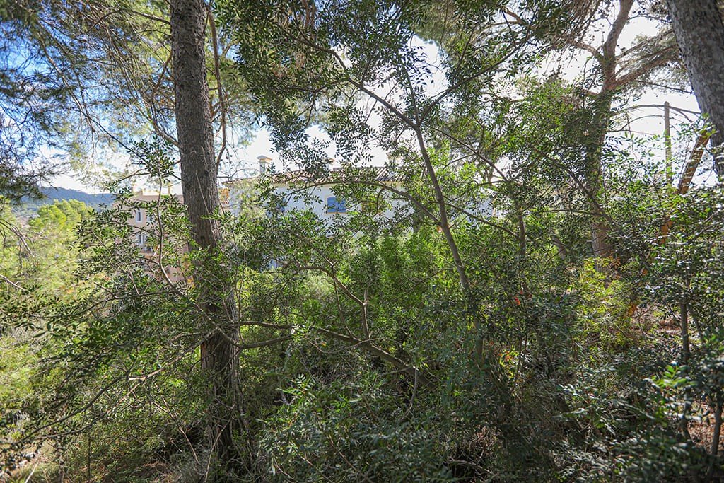 Terreno a Mallorca, Spagna N° 147913