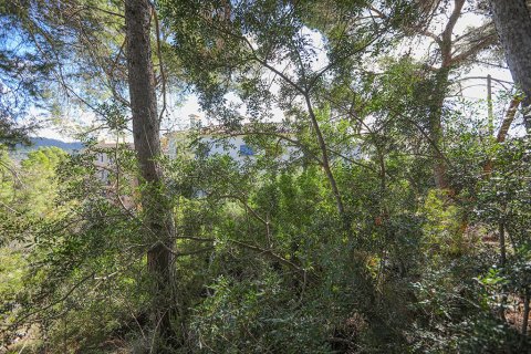 Parcela en venta en Mallorca, España No. 147913 - foto 6