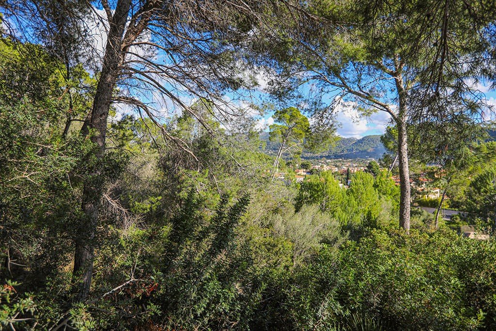 Terreno a Mallorca, Spagna N° 147913