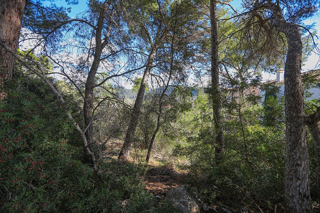 Terreno a Mallorca, Spagna N° 147913