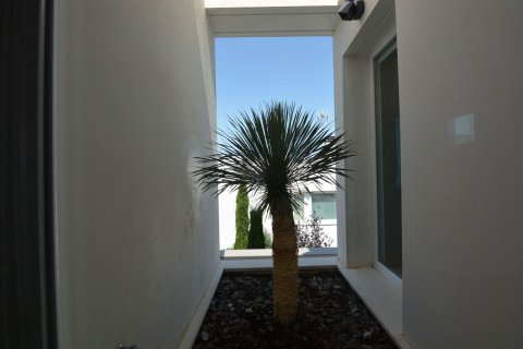 Villa à vendre à Benidorm, Alicante, Espagne, 3 chambres, 350 m2 No. 181003 - photo 19