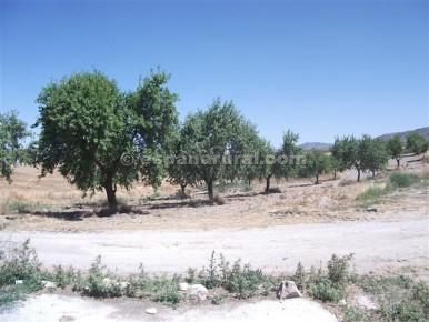 Hus i Baza, Granada, Spanien 3 sovrum, 100 kvm. Nr. 184190