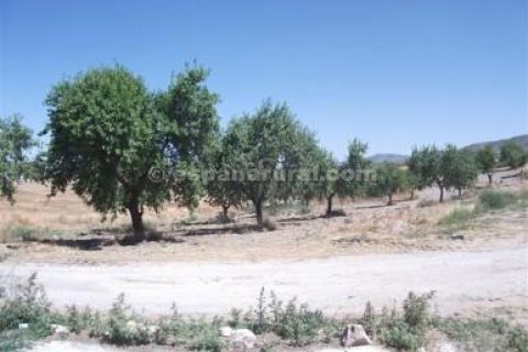 Māja pārdošanā Baza, Granada, Spānijā 3 istabas, 100 m2 Nr. 184190 - attēls 8