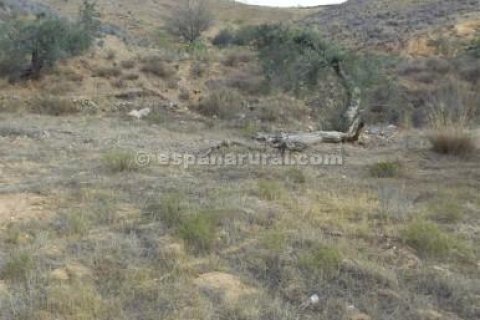 Land plot for sale in Albox, Almeria, Spain No. 184188 - photo 8