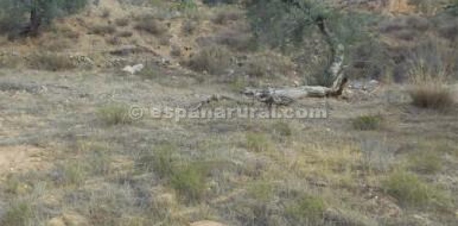 Land plot in Albox, Almeria, Spain No. 184188