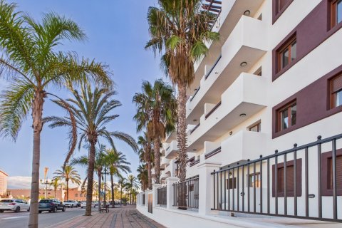 Huoneisto myytävänä Los Alcazares, Murcia, Espanja, 1 makuuhuone, No. 184530 - kuva 29