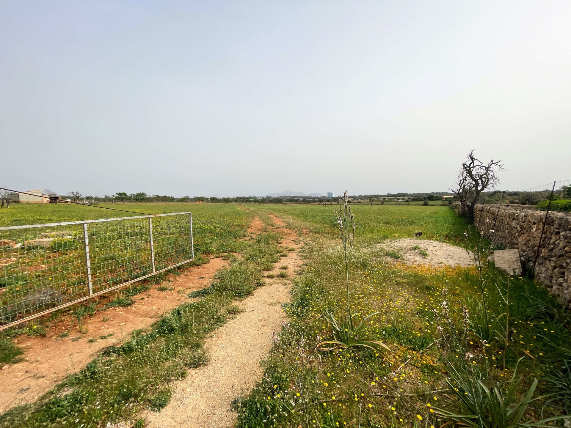 Land plot in Santa Margalida, Mallorca, Spain 86522 sq.m. No. 98010