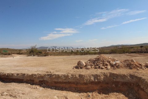 Villa en venta Pinoso, Alicante, España 3 dormitorios, 141 m2 No. 139009 - foto 22