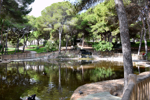 Lägenhet till salu Guardamar del Segura, Alicante, Spanien 3 sovrum, 100 kvm. Nr. 135623 - foto 28