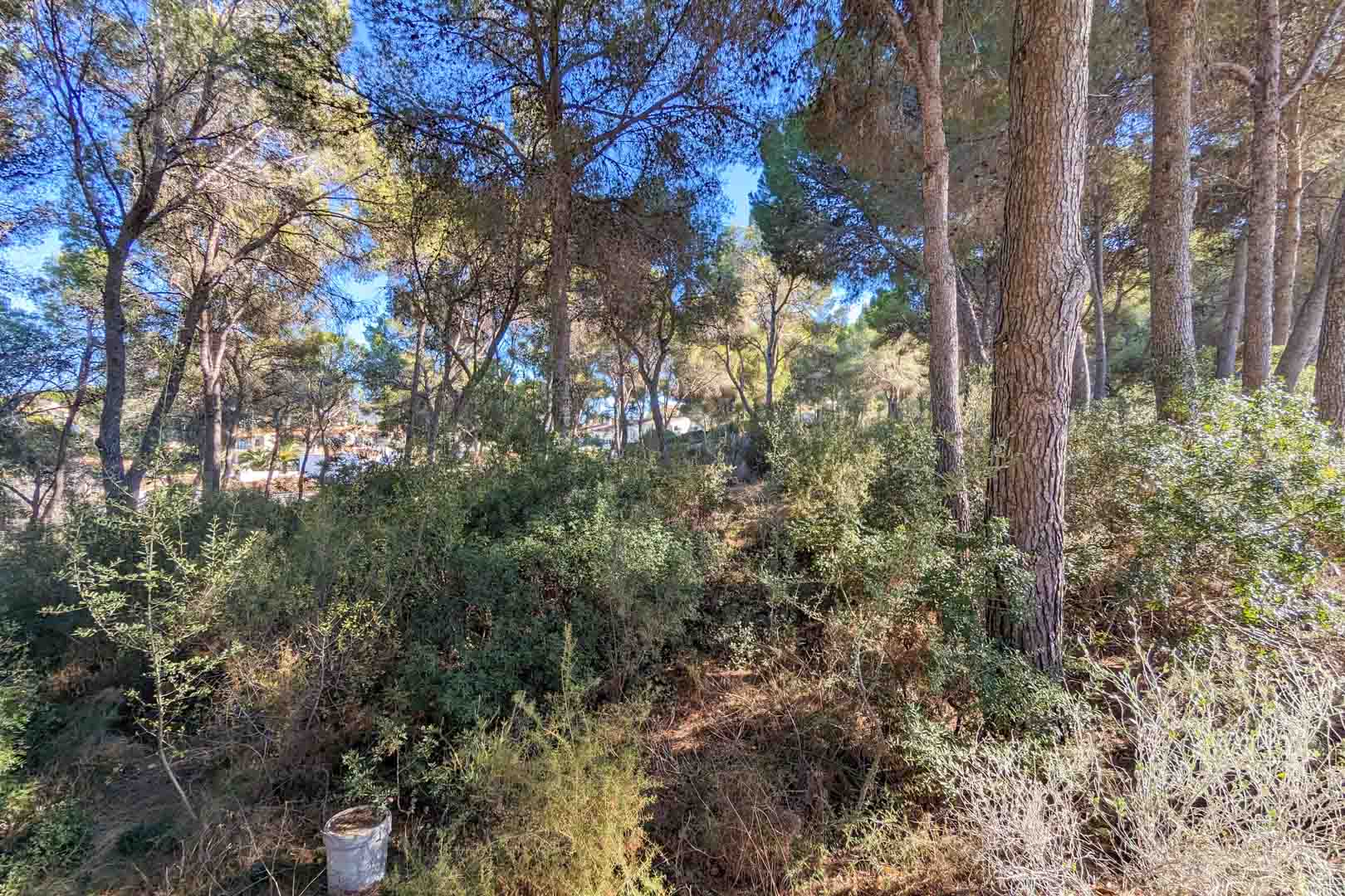 Villa en Moraira, Alicante, España 6 dormitorios, 2264 m2 No. 96022