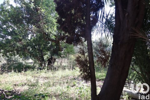 Продажа таухауса в Тормос, Аликанте, Испания 4 спальни, 1136м2 №153724 - фото 29