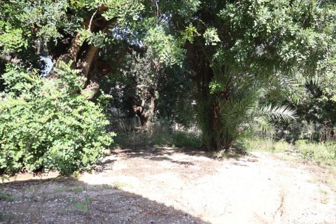 Продажа таухауса в Тормос, Аликанте, Испания 4 спальни, 1136м2 №153724 - фото 26