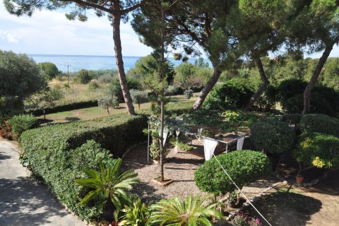 Hus till salu i Mataro, Barcelona, Spanien 5 sovrum, 380 kvm. Nr. 178334 - foto 4