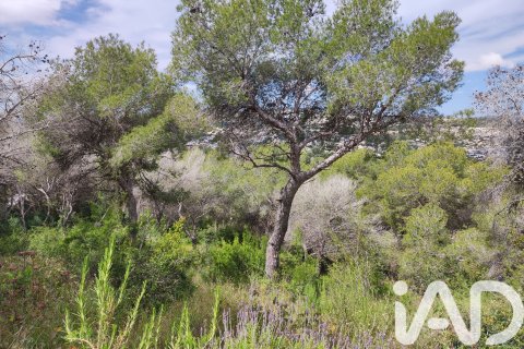 Land zum Verkauf in Teulada, Alicante, Spanien 1139 m2 Nr. 172550 - Foto 6