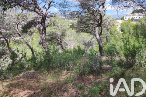Land zum Verkauf in Teulada, Alicante, Spanien 1139 m2 Nr. 172550 - Foto 7