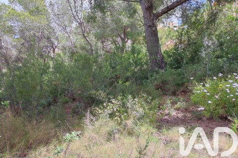 Land zum Verkauf in Teulada, Alicante, Spanien 1139 m2 Nr. 172550 - Foto 9