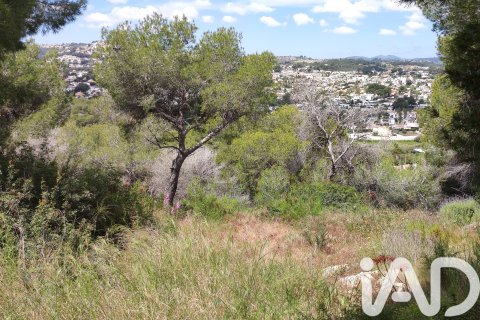 Land zum Verkauf in Teulada, Alicante, Spanien 1139 m2 Nr. 172550 - Foto 14