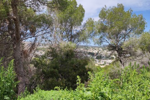 Land zum Verkauf in Teulada, Alicante, Spanien 1139 m2 Nr. 172550 - Foto 3