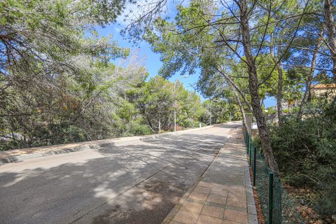 Land plot à vendre à Sol De Mallorca, Mallorca, EspagneNo. 148038 - photo 5