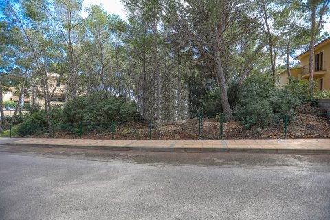 Land plot à vendre à Sol De Mallorca, Mallorca, EspagneNo. 148038 - photo 1