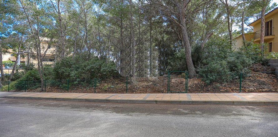 Land plot à Sol De Mallorca, Mallorca, Espagne No. 148038