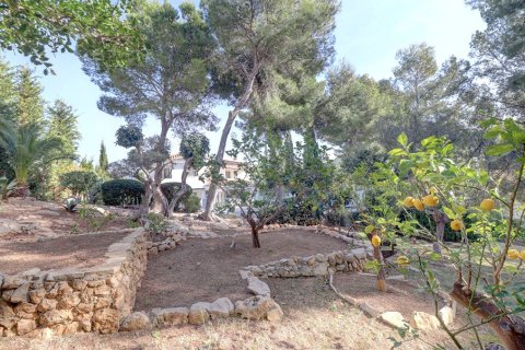 Villa for sale in Santa Ponsa, Mallorca, Spain 4 bedrooms, 400 sq.m. No. 148036 - photo 21