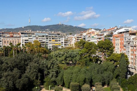 Apartment à louer à Barcelona, Espagne, 6 chambres, 398 m2 No. 151024 - photo 5