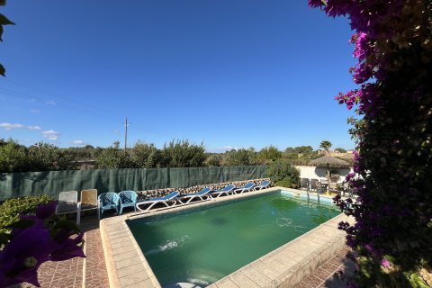 Finca for rent Algaida, Mallorca, Spain 4 bedrooms, 160 sq.m. No. 139731 - photo 15