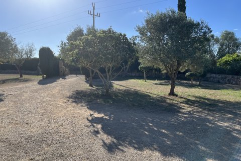 Finca for rent Algaida, Mallorca, Spain 4 bedrooms, 160 sq.m. No. 139731 - photo 19