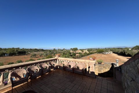 Finca for rent Algaida, Mallorca, Spain 4 bedrooms, 160 sq.m. No. 139731 - photo 14